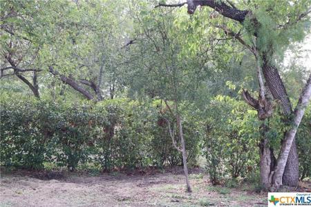 119 Buffalo Gap