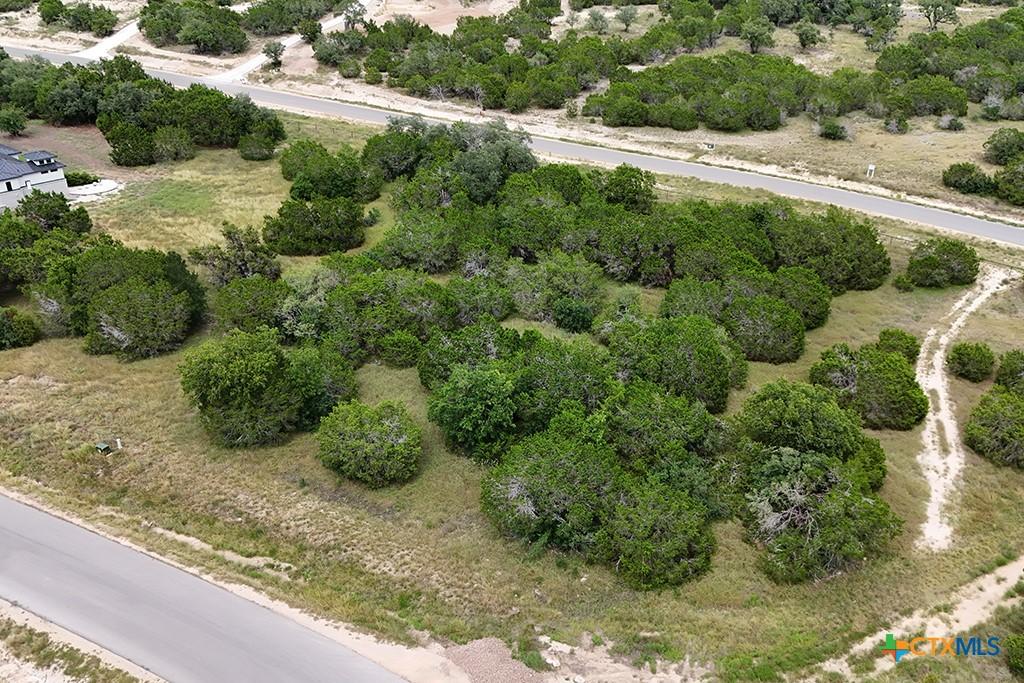 Image 4: Level lot with mature trees