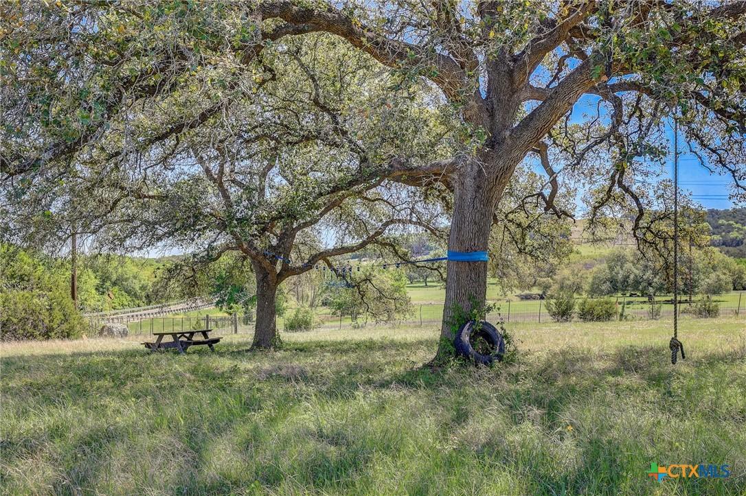 Image 1: Lovely established trees on the property