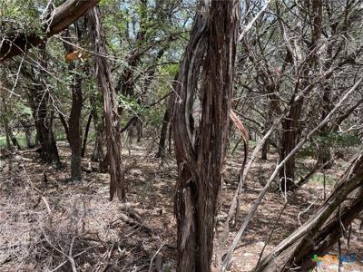 TBD Antler Trail
