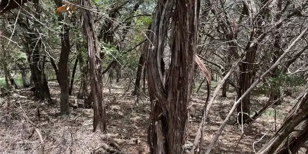 TBD Antler Trail