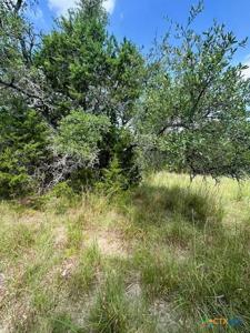 TBD Lot 3 Royal Eagle Dr.