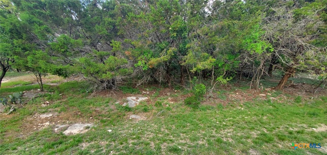 Image 3: View of left front of lot with a wooded view.