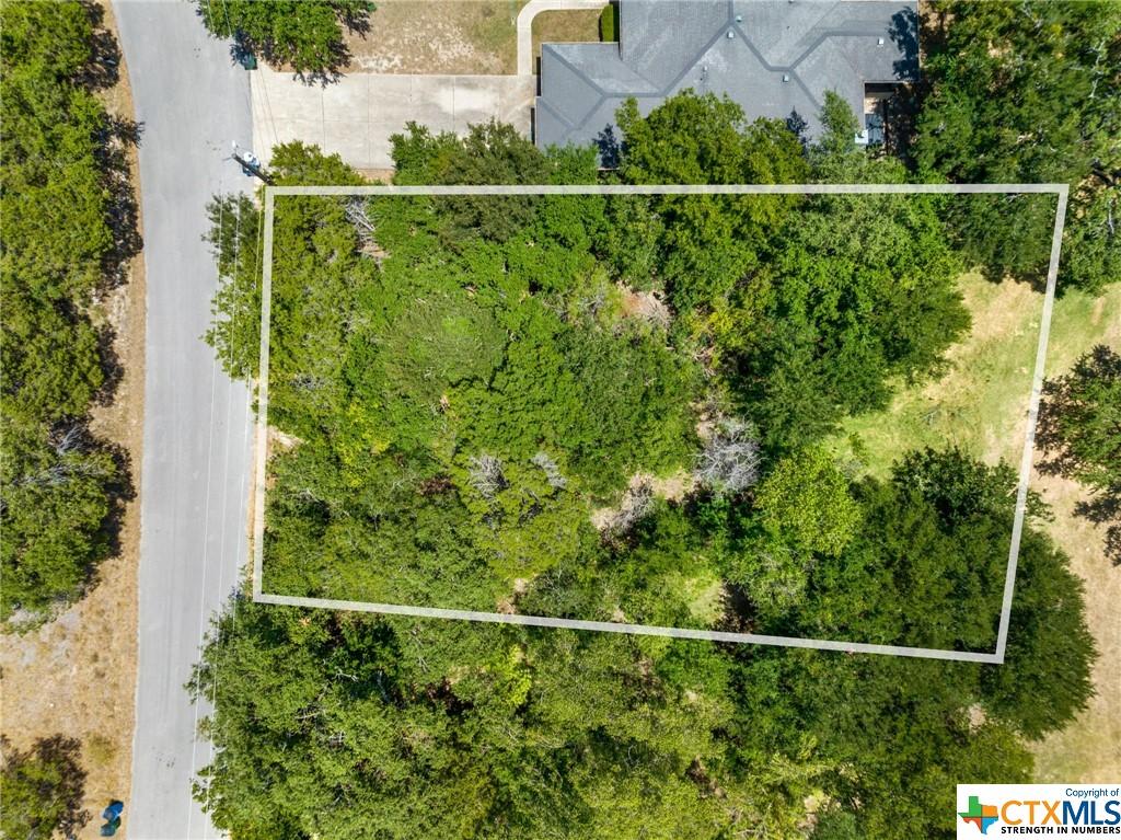 Image 2: Arial View