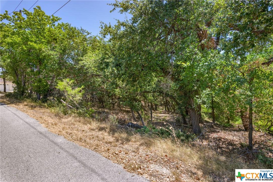 Image 3: Street View