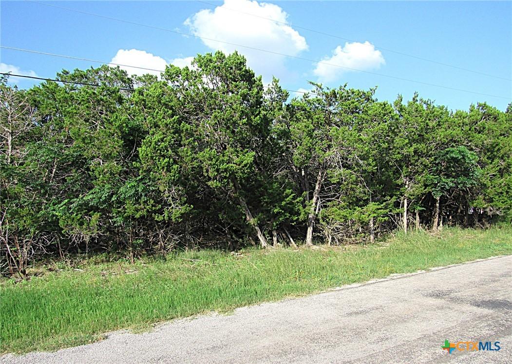 Image 3: .71 acres
approximately 220 wide & 140 deep