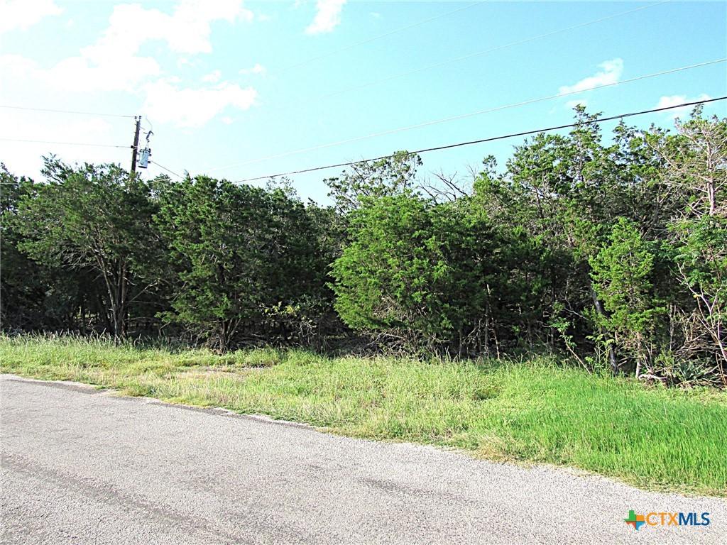 Image 4: .71 acres
approximately 220 wide & 140 deep