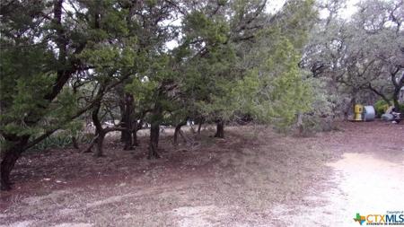Lot 46 Mountain Wood