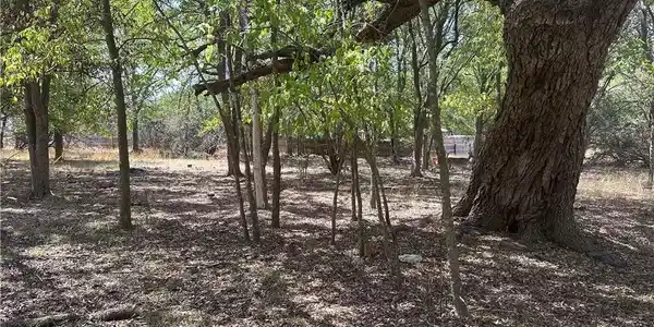 1 Dog Wood Court