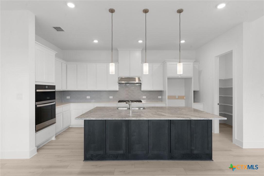 Image 4: Nolte Farms_Aubriella Hill Country_Home Site 7_Kit