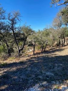 1178 Primrose Path