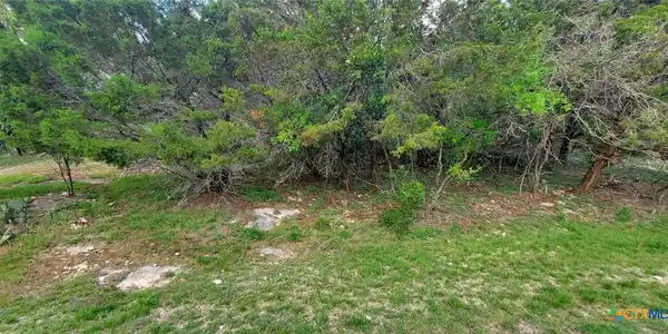 Image 3: View of left front of lot with a wooded view.