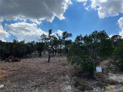 320 Lexington Pass