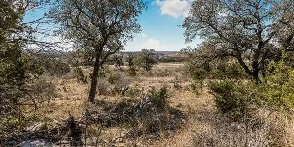 Image 3: LOT LANDSCAPE
