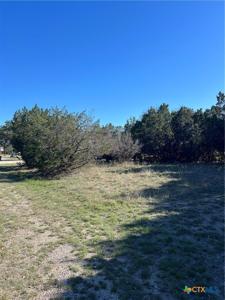1309 and 1321 Lakeview Drive