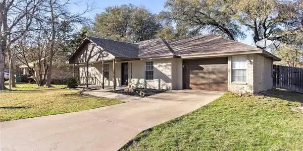 55 Golden Poppy Loop