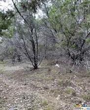 6571 Tallow Drive