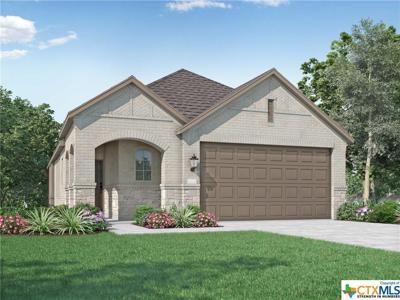 273 Alpine Lakes Street