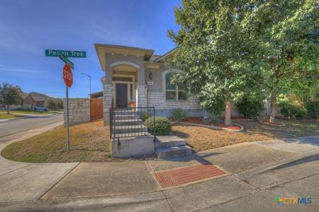 2244 Pecan Tree