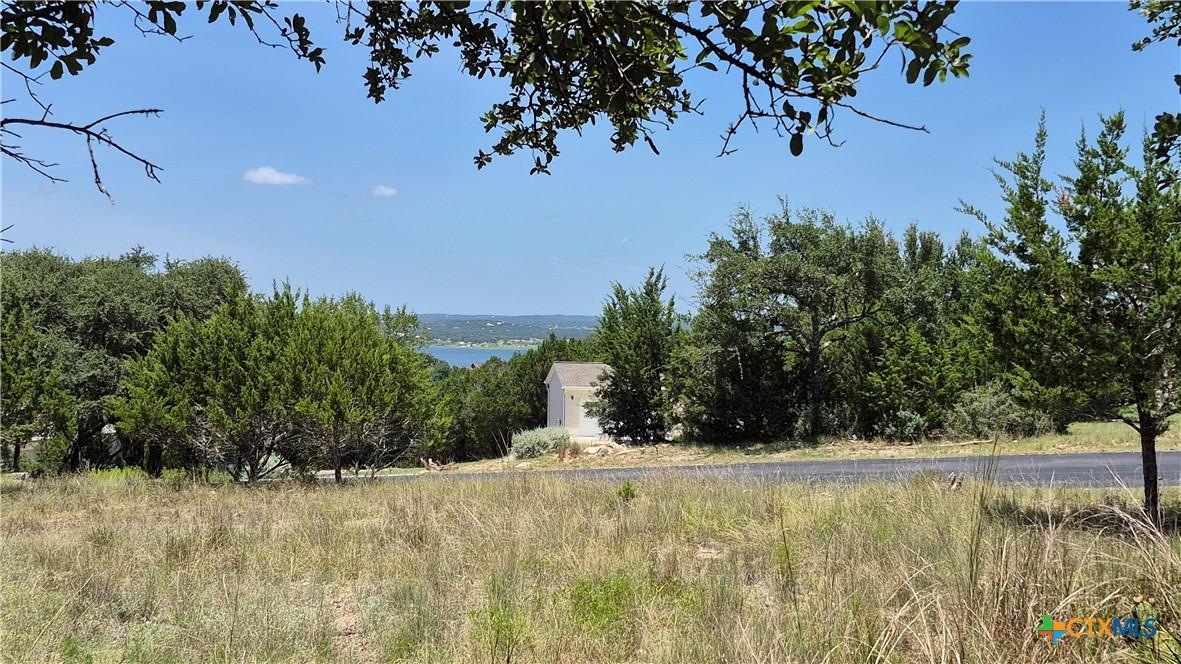 Image 3: 162 Scarlet Ct, Canyon Lake, TX in Oak Shores Esta