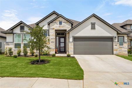 110 Canyon Live Oak