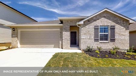 311 BLUETICK Trail