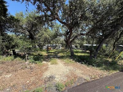 107 Deer Oak