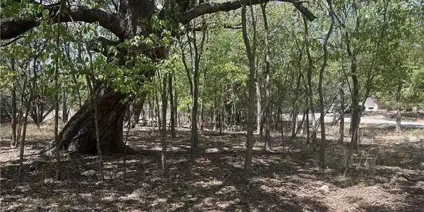 3 Dog Wood Court