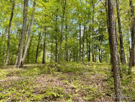 LOT 42 LOT 42 LAKESHORE WEST PHASE 3
