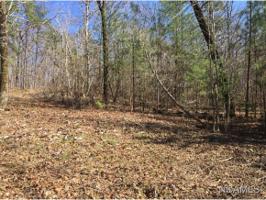 9 CO RD 4232