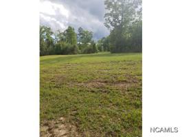 221 COUNTY ROAD 296