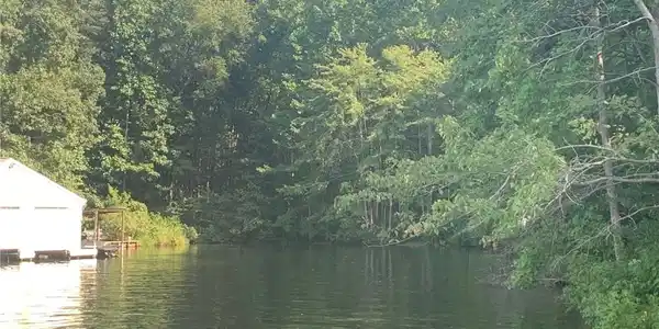 Lot E1 Kentucky Springs Rd