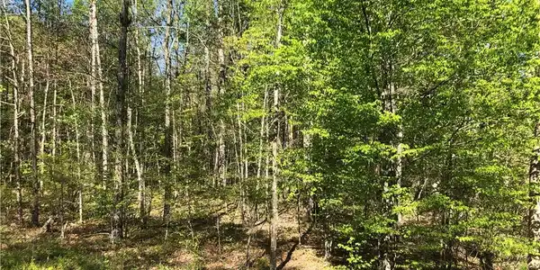 75 Hemlock Loop