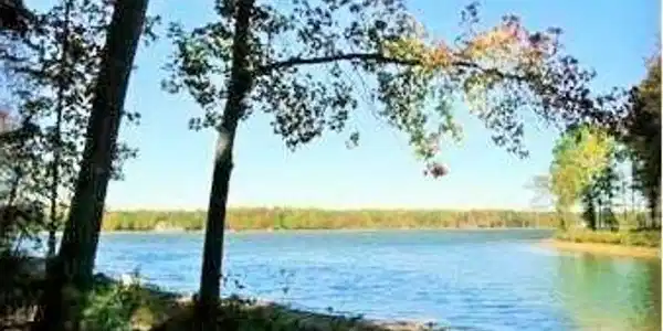 Lot 21 Olive Branch Ct