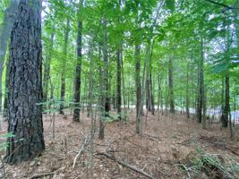 Lot 42 Almond Court