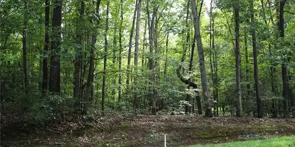 13 Pinewood Drive