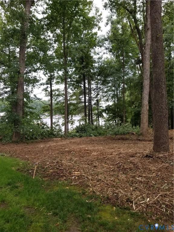 Image 1: View of nature