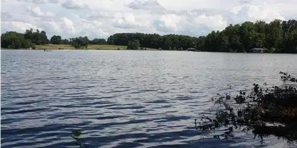 Lot 99 Acorn Dr