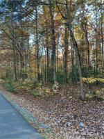 0 Poplar - Lot #1031 Drive