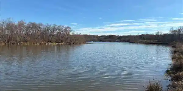 Lot 8 Bella Vista Drive