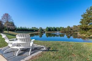 14433 Duckridge Court