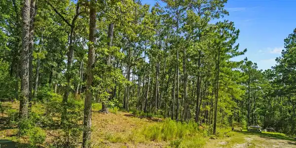 Image 4: Additional View