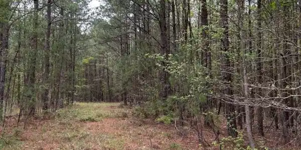 R12357 -Lot 102 Fm 705