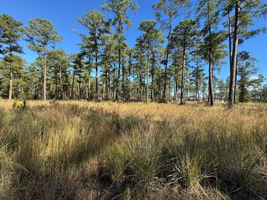 Image 1: Main View