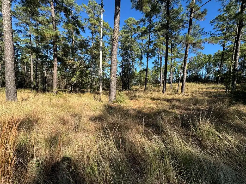 Image 1: Main View