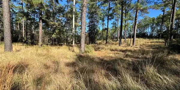 Lot 065 Private Rd 6026