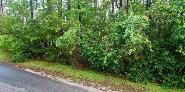 Parcel #31902 Post Oak Lane