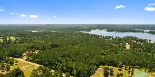 Image 4: Additional View