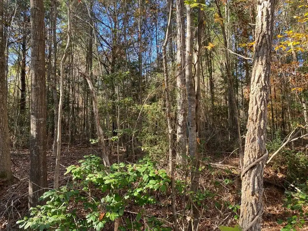 Image 1: Main View