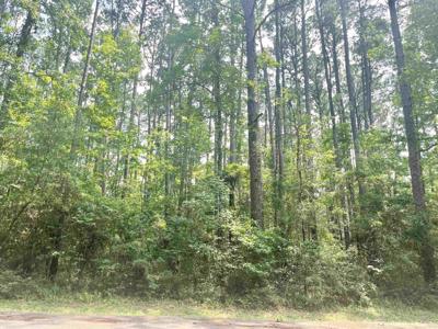Lot: 532 Starfish Dr.